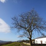 maes-y-fron-2